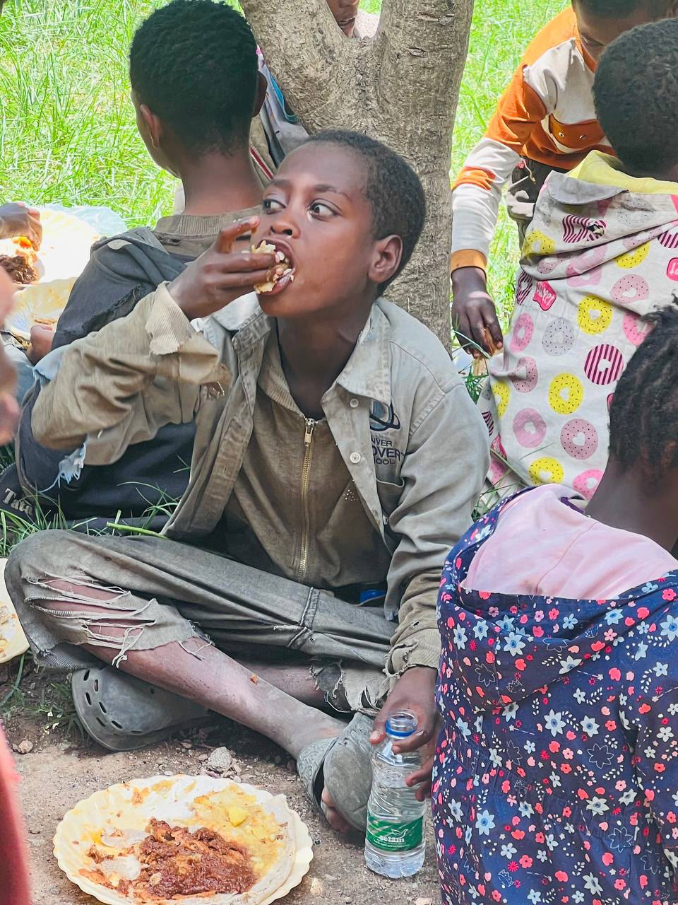 Boy eating a meal from a plate