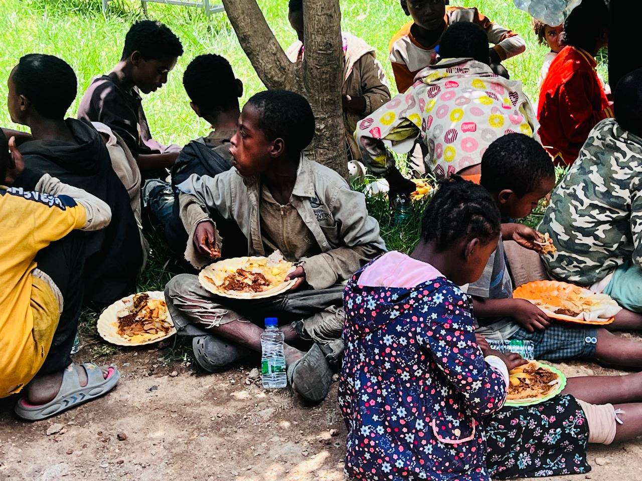 Children sitting under a tree eating from plates